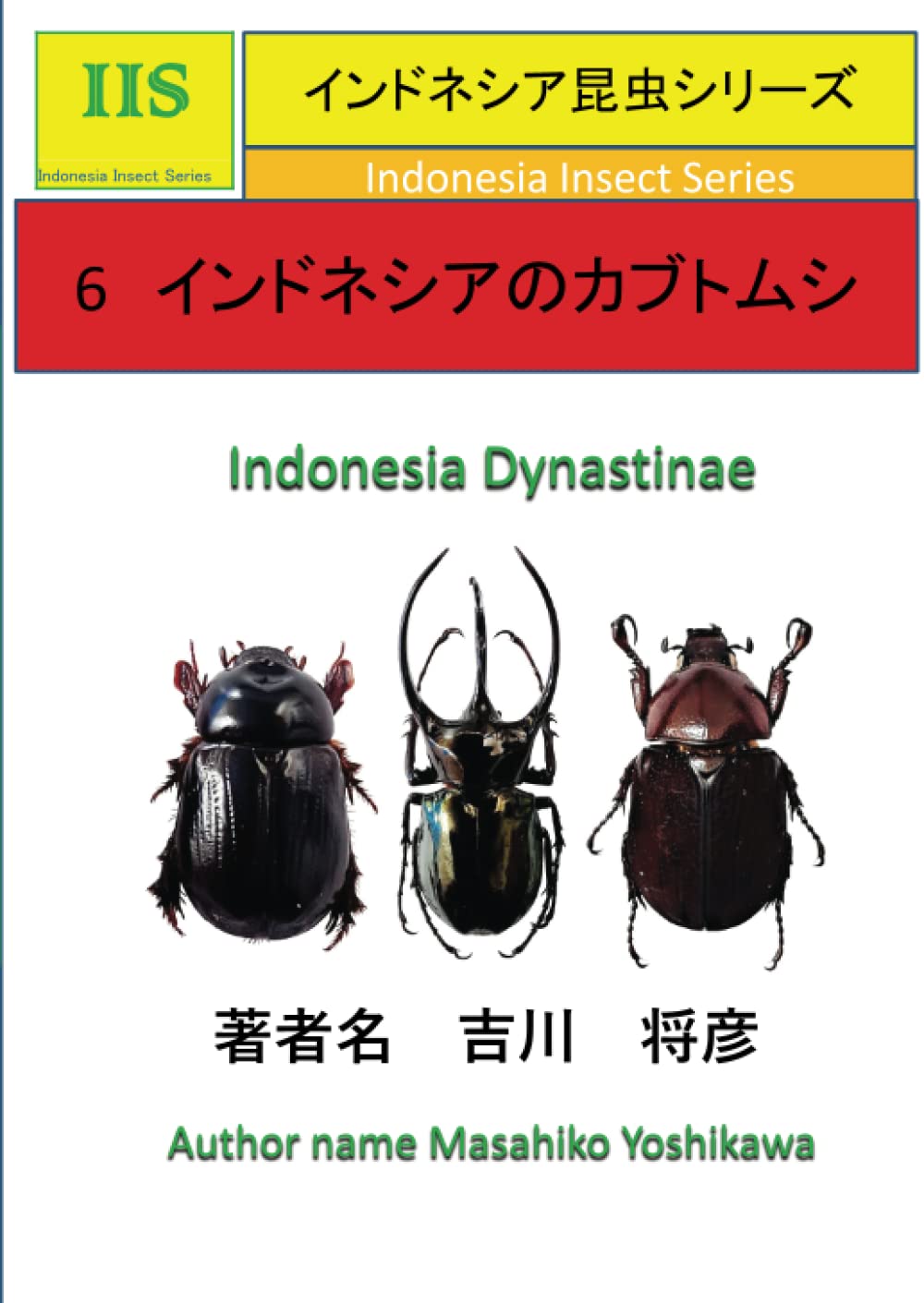 本格的なインドネシアの昆虫標本セット×２組（計18体） 85033e36bfb9dfa5ab09e0c0621c33